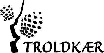 Troldkærskolen